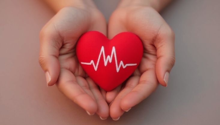 Hände halten ein rotes Herz mit einer weißen EKG-Linie, symbolisch für Gesundheit und Herzpflege.