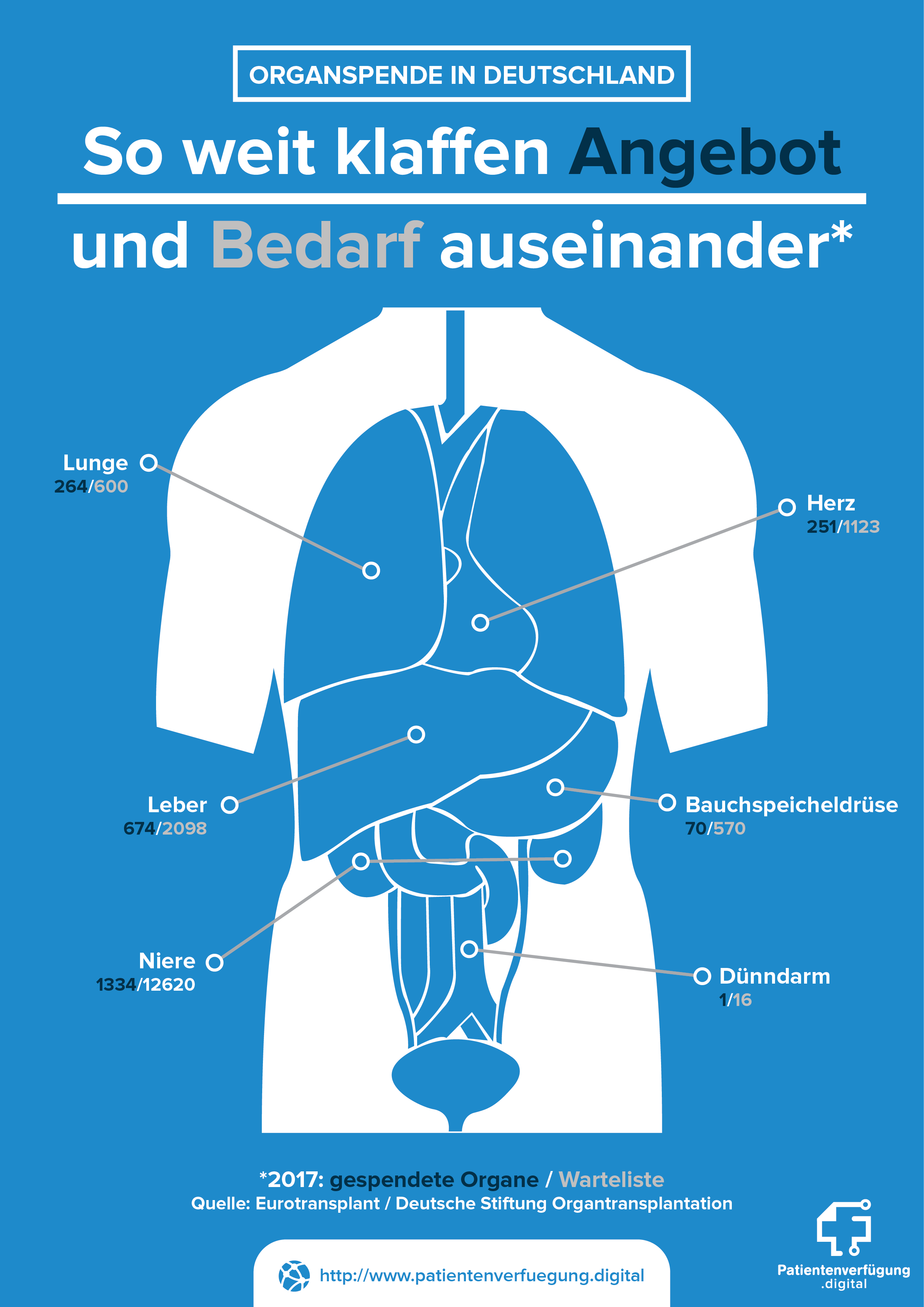 Organspende: Angebot und Bedarf